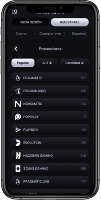 Proveedores y Calidad del Software en Casinova