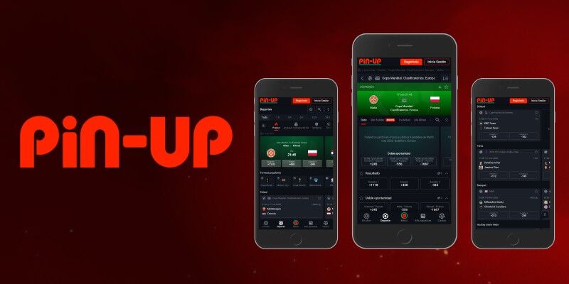 Captura de pantalla de la versión de la aplicación de PIN-UP