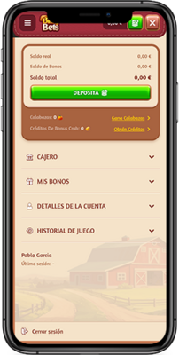 Gestión de la Cuenta