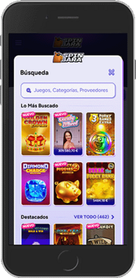 Proveedores y Calidad del Software