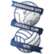 Birmingham City logo