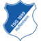 TSG Hoffenheim logo